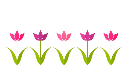 Sticker - Pink and purple tulip flowers border background.