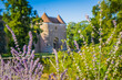 © Pernelle Voyage - Flowers and in the background the 13th century fortification of the Ainay Le Vieil castle, situated in the Berry region of France