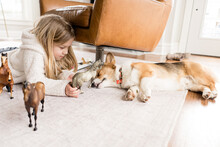 Side View Of Blond Girl Playing With Toy Horses With Corgi Dog Asleep