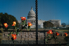 Flowers On Fence Protecting US Capitol After Jan 6 Riot