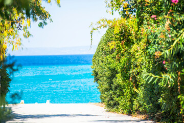 Wall Mural - Landscape at the sea in Greece