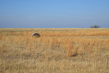 Wall Mural - Hay Field