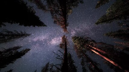 an overnight time lapse of a hammock view looking up as the milky way and stars pass across the tree