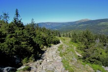 Mountain Trail In The Karkonosze Mountains In Spring. A Rocky Path Among The Trees