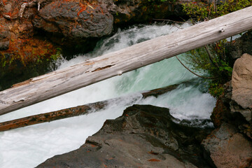 the river in the forest