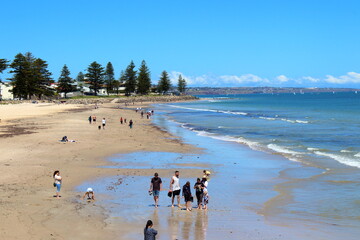 Wall Mural - beach in glenelg, adelaide