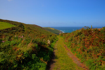 Poster - South west coast path towards Portheras Cove Cornwall near St Ives