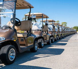 Wall Mural - Background image of multiple golf carts parked in order.