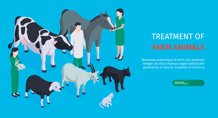 Poster - Veterinary Horizontal Banner