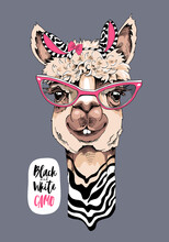 Funny Poster. Cute Llama In A Striped Zebra Mask, And In A Pink Glasses. Black And White Camo - Lettering Quote. Humor Card, T-shirt Composition, Hand Drawn Style Print. Vector Illustration.