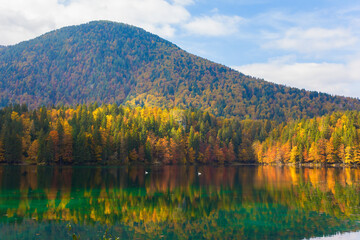 Wall Mural - Magnificent autumn