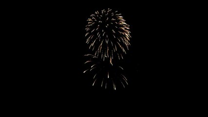 A timelapse of colorful fireworks exploding in the night sky