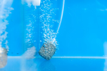 oxygen ball for fish tank
