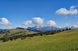 Grüne Wiesen und blauer Himmel auf der Seiser Alm in Südtirol - Green meadows and blue sky at the seiser alm in south tyrol