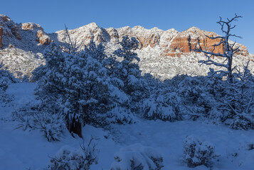 Canvas Print - Scenic Snow Covered Winter Landscape in Sedona Arizona