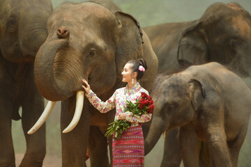 The girl and the elephant are carrying flowers.Beautiful young Asian woman dressed in traditional native dress and elephant in forest of village Surin Thailand