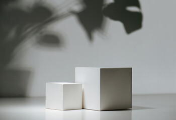 composition of two white cubes in front of a white wall with a shadow of big leaves of monstera plan