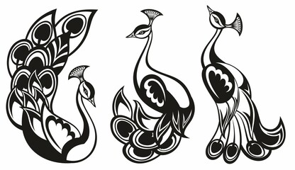 Wall Mural - peacocks. peacock vector set. bird logo for your design