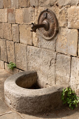 Wall Mural - Ornate historic metal water drinking spout in the form of a creatures mouth