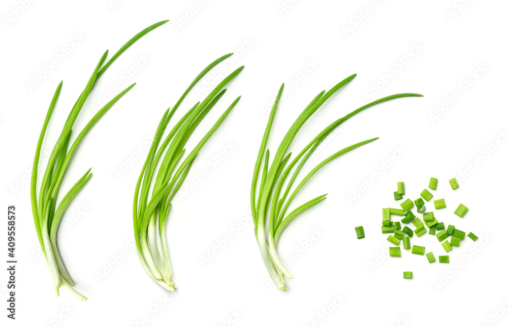 Collection of young green onion isolated on white background - obrazy, fototapety, plakaty 
