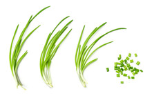 Collection Of Young Green Onion Isolated On White Background