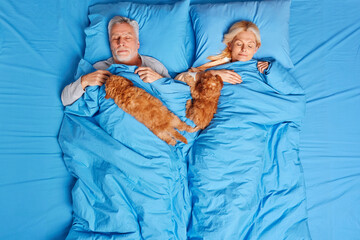 Elderly sleeping woman and man lying under soft blanket in comfortable bed two brown puppies near have healthy nap with best friends enjoy good rest at night. People family bedtime and pets concept