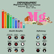 Health benefits of magnesium supplement infographic vector illustration