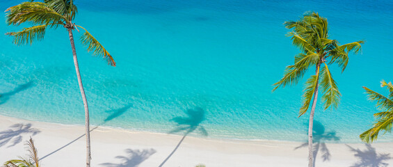 Palm trees shadow on the sandy beach and turquoise ocean from above. Amazing summer nature landscape. Stunning sunny beach scenery, relaxing peaceful and inspirational beach vacation template