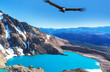 canvas print picture - Condor in Patagonia