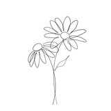 Fototapeta Tulipany - Chamomile flower line art drawing. Minimalist botanical icon, logo, design. Hand drawn Daisy flower vector illustration. One line drawing