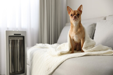 Sticker - Chihuahua dog sitting on grey sofa near electric heater in living room