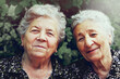 Two old happy ladies outdoors portrait