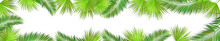 A Long Horizontal Frame Of Palm Leaves. Hello Summer. Vector Illustration