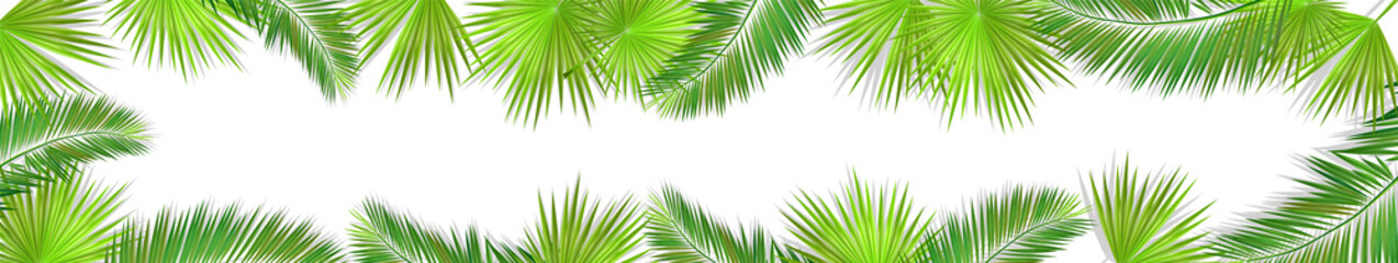 A Long horizontal frame of palm leaves. Hello summer. Vector illustration