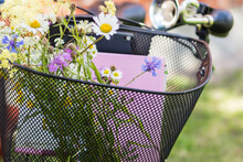  Colorful Bouquet Of Wildflowers And Pink Color Books In The Basket Of Black Bicycle In Nature Green Grass Background In Sunny Day