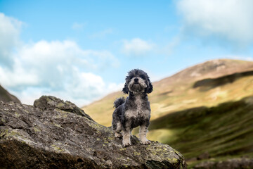 lake district national park