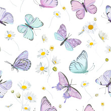 Seamless Daisy Flowers And Butterfly Vector Background. Spring Floral Watercolor Pattern