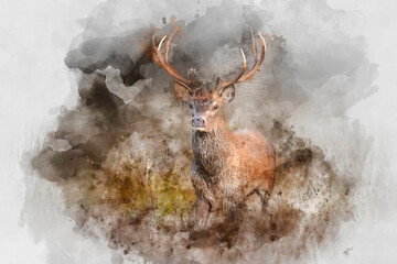 Wall Mural - digital watercolor painting of beautiful image of red deer stag in vibrant golds and browns of autum