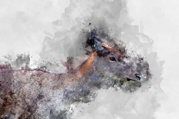 Wall Mural - digital watercolor painting of beautiful image of red deer doe in vibrant gold and brown woodland la