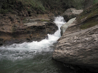 Gurgling stream in gorge in Euboea island, Greece.