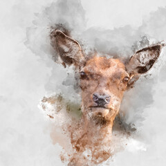 Wall Mural - digital watercolor painting of beautiful image of red deer doe in vibrant gold and brown woodland la