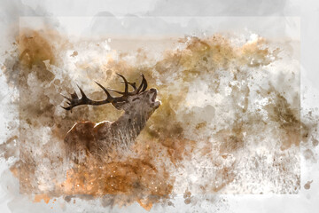 Wall Mural - digital watercolor painting of beautiful image of red deer stag in vibrant golds and browns of autum
