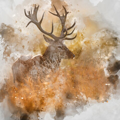 Wall Mural - digital watercolor painting of beautiful image of red deer stag in vibrant golds and browns of autum