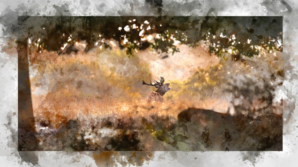 Wall Mural - digital watercolor painting of beautiful image of red deer stag in vibrant golds and browns of autum