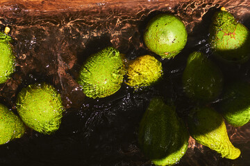 Sticker - Top view closeup of yellow and green pears under the pouring water in a wooden tank