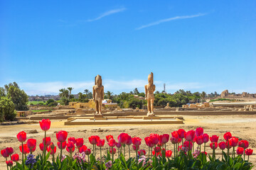 Poster - Colossi of Amenhotep