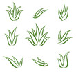 Aloe Vera set. Collection icon Aloe Vera. Vector