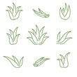 Aloe Vera set. Collection icon Aloe Vera. Vector