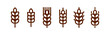 Barley spike or corn ear. Bakery, bread or agriculture logo concept.