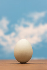 Sticker - 新鮮たまごのイメージ　Image photo of chicken egg 